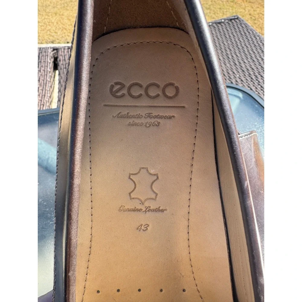 Ecco discover unparalleled